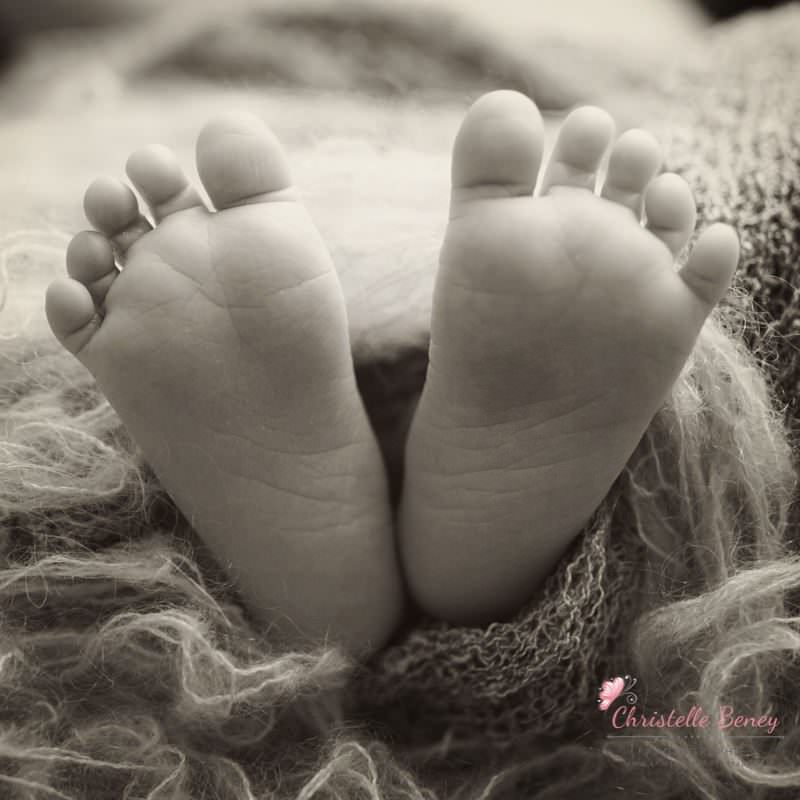 photographe nouveau né Castres