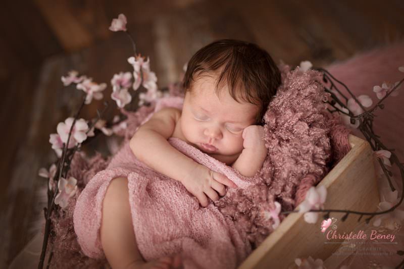 photographe nouveau-né Toulouse photographe nouveau-né Toulouse