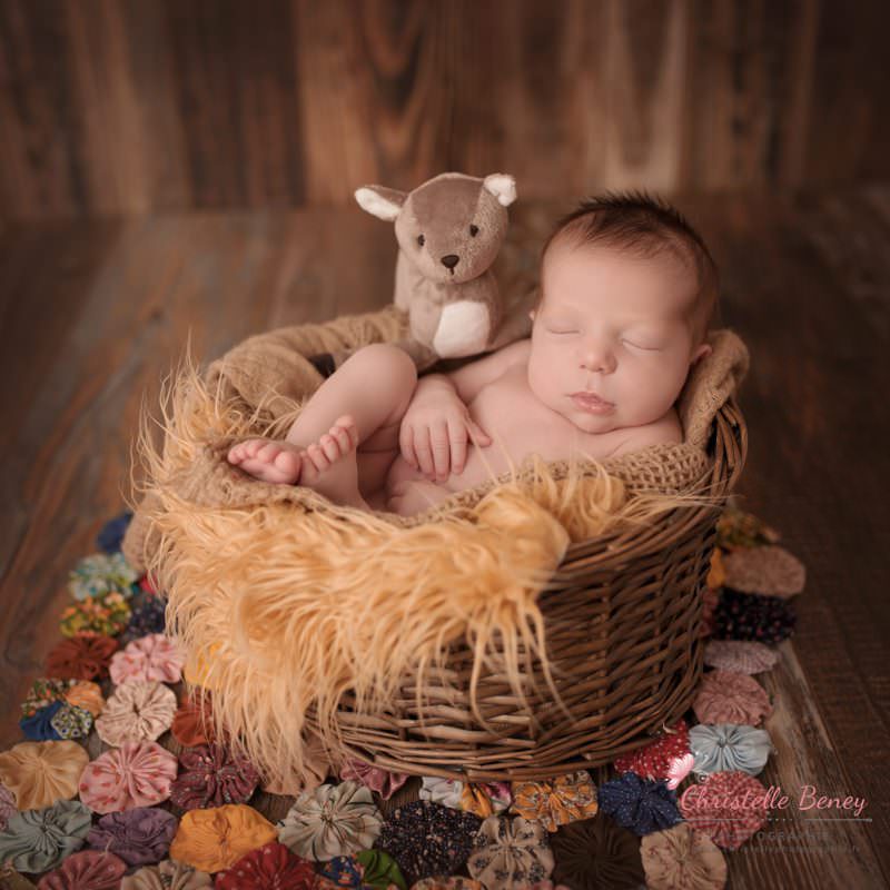photographe nouveau né Castres