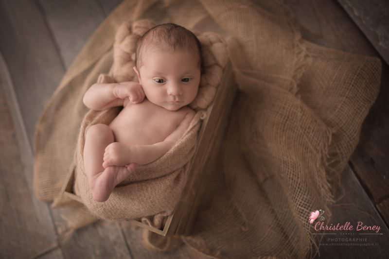 séance photo nouveau né toulouse