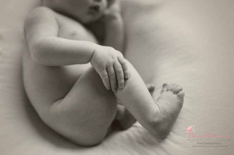 séance photo nouveau né Toulouse