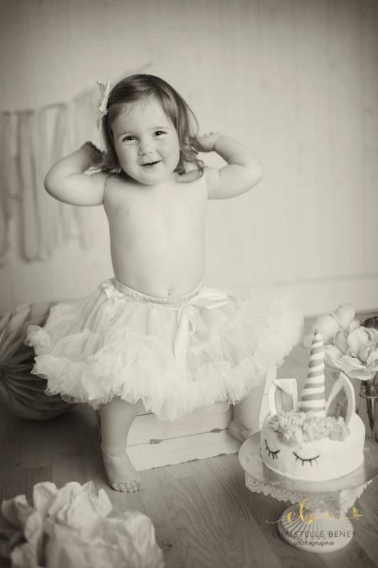 smash the cake toulouse smash the cake toulouse