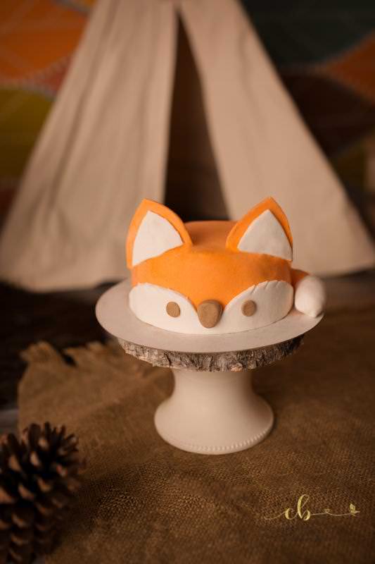 smash the cake Toulouse