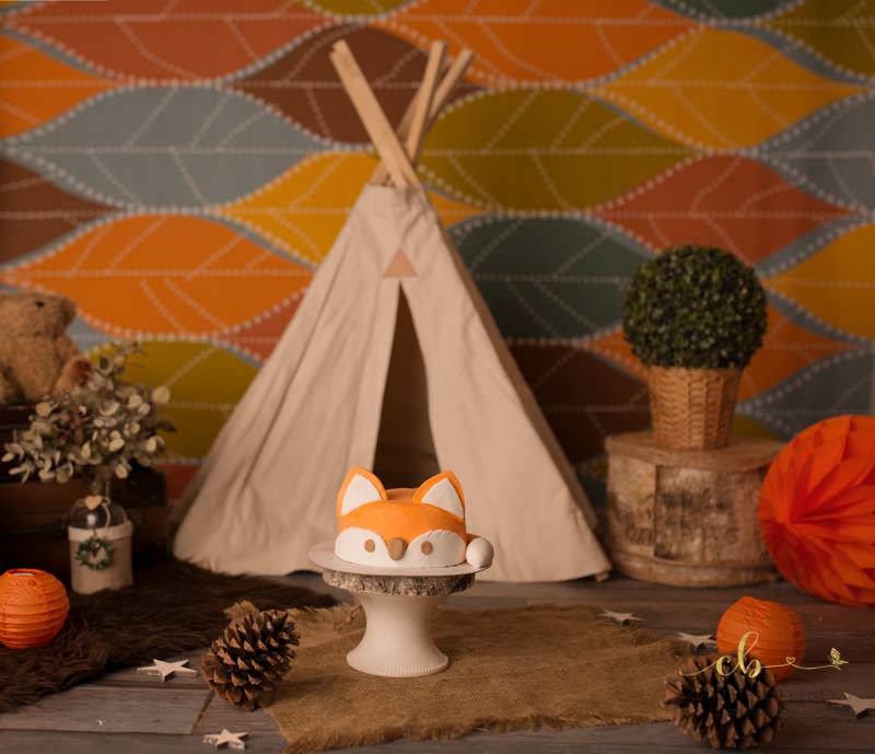 smash the cake Toulouse