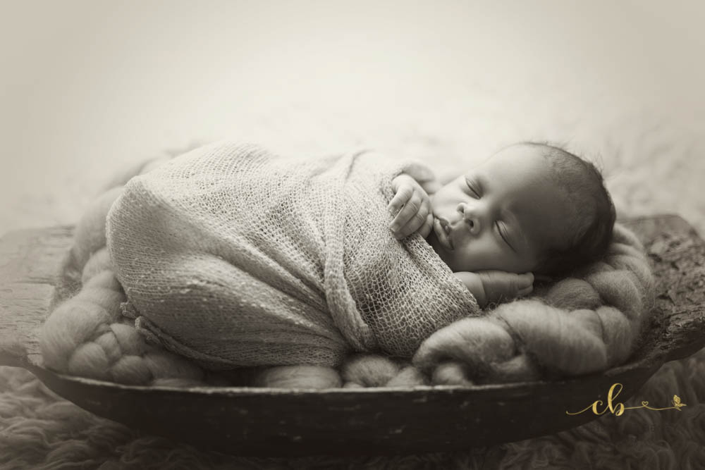 photographe nouveau né Albi photographe nouveau né Albi