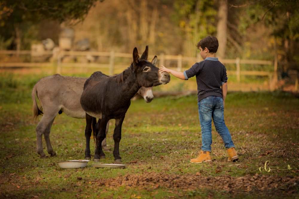 séance à domicile Castres