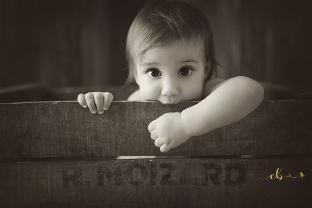 photographe bebe toulouse photographe bebe toulouse