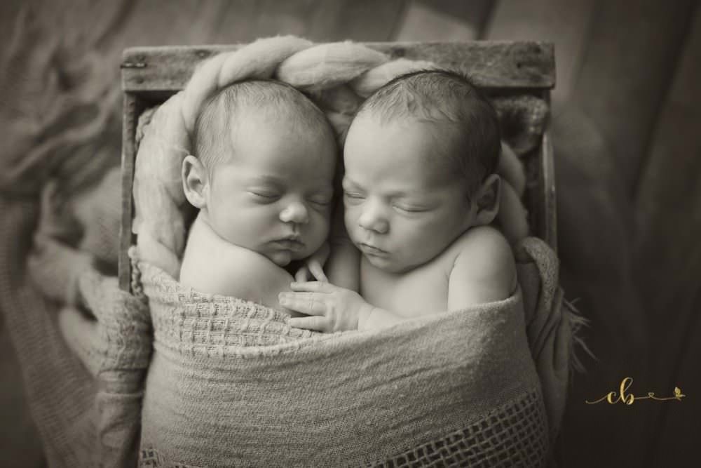 photographe jumeaux Toulouse