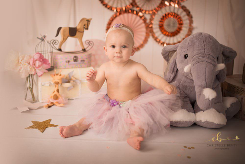 smash the cake Toulouse