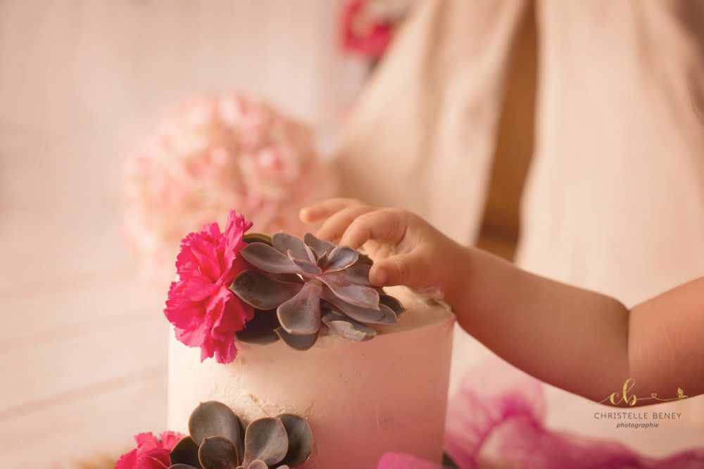 smash the cake toulouse