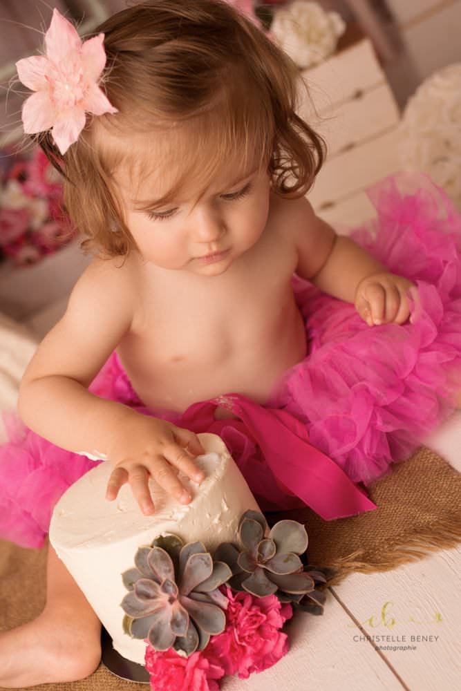 smash the cake toulouse