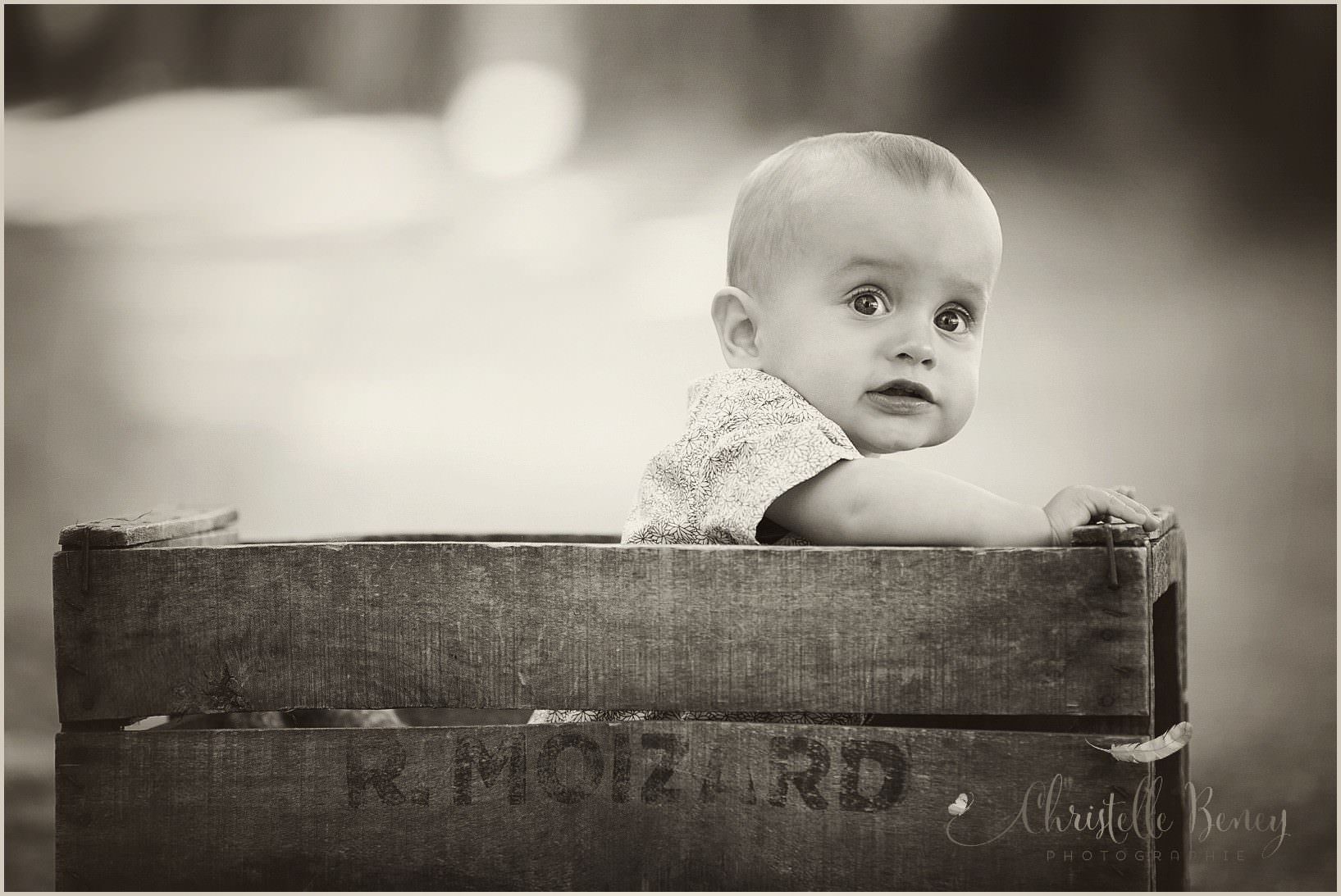 Photographe famille Toulouse