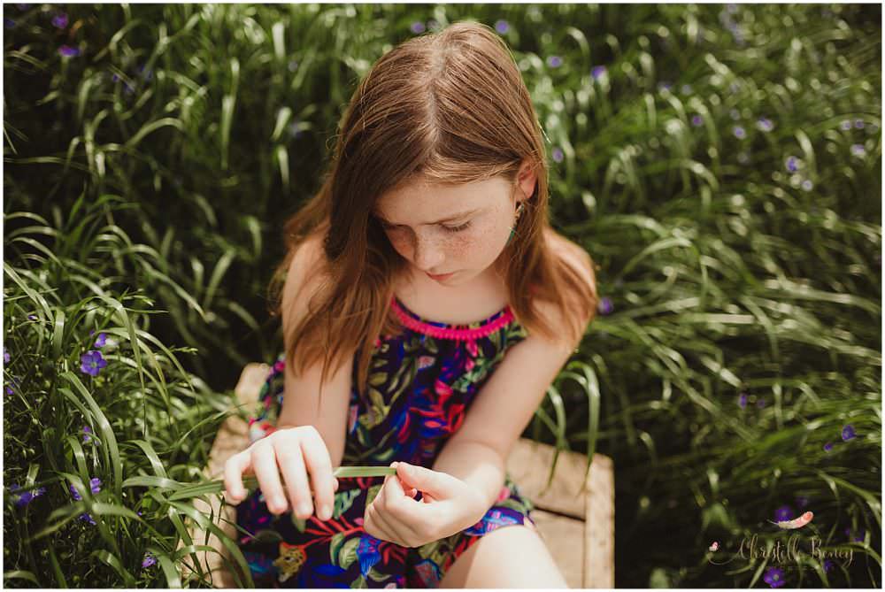 seance photo champs toulouse