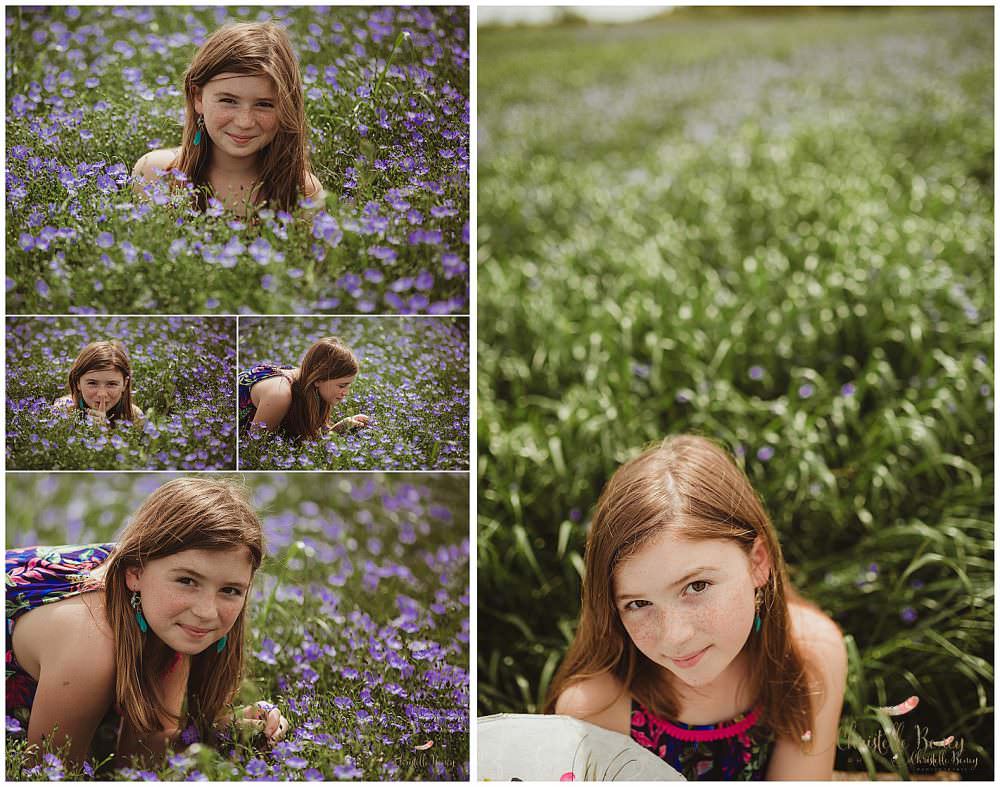 photographe champs de lin